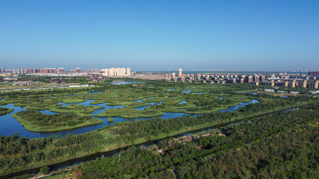 天津团泊湖湿地自然都市风光