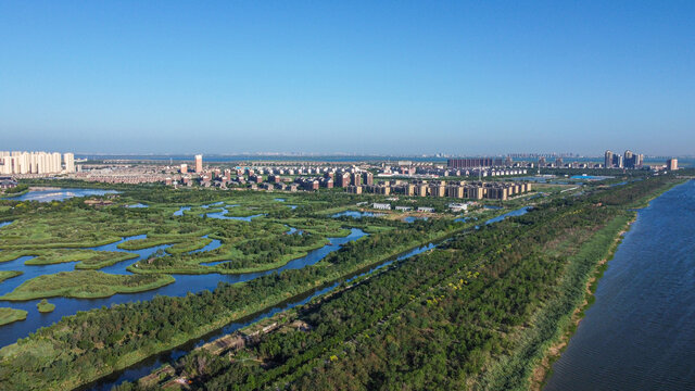 天津团泊湖湿地自然都市风光