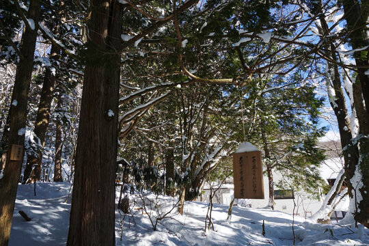 小雪景