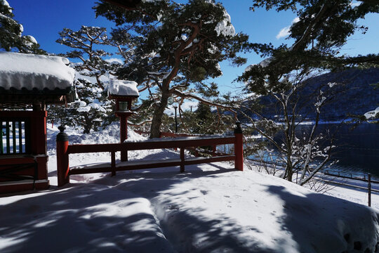 雪上的阴影