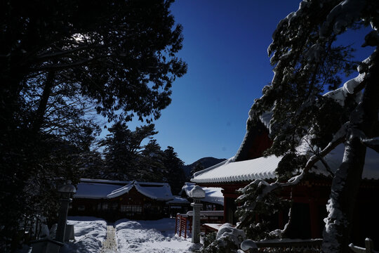 雪中的庙宇