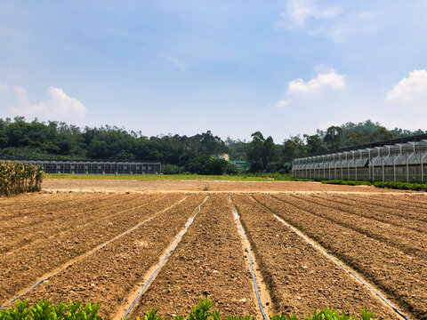 深圳大鹏四季农场