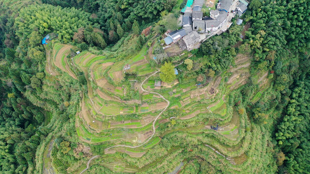 俯瞰山村梯田