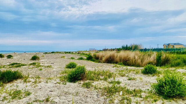 新疆乌伦古湖国家湿地公园风景