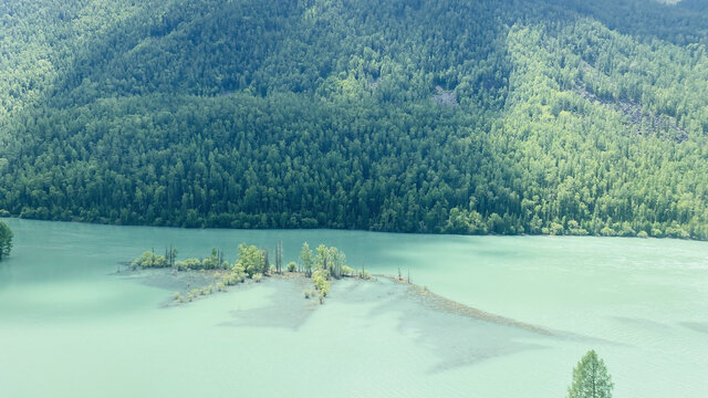 喀纳斯三湾卧龙湾