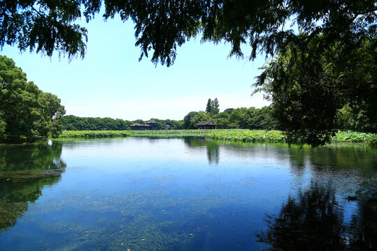 西湖山水