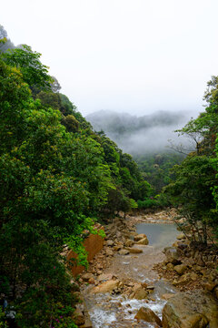 山林