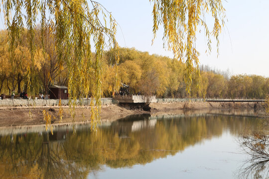 秋天湖边风景