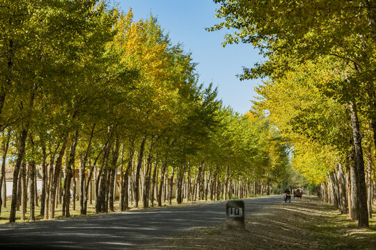 乡间小路