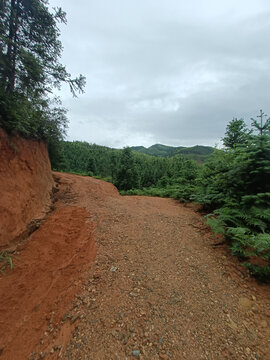 乡村泥巴路