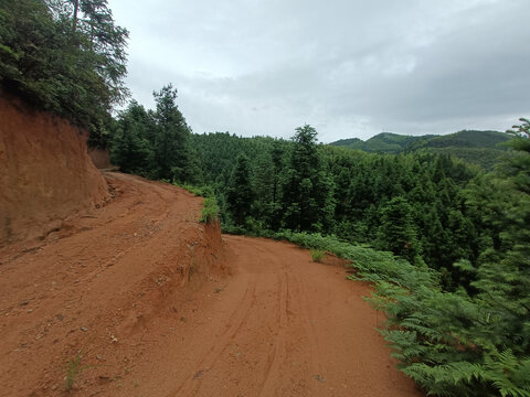 乡村泥巴路