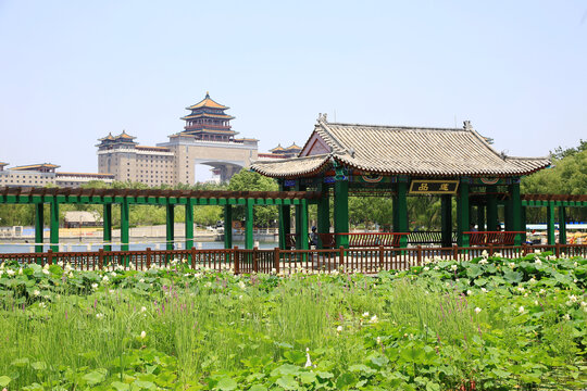 北京莲花池公园品莲长廊