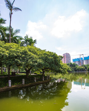 白龙湖湖心岛