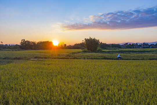 乡间美景