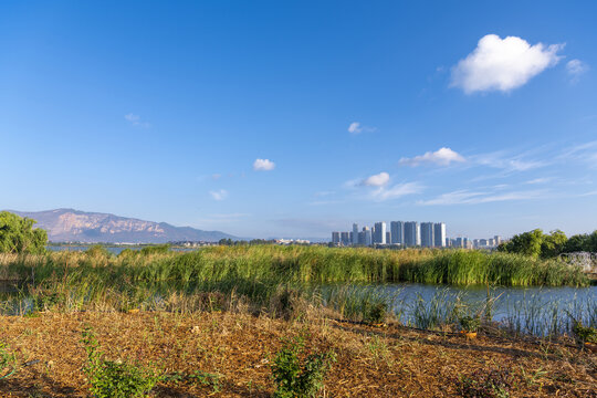 滇池湿地