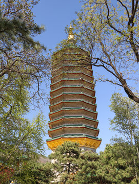 北京八大處靈光寺舍利塔