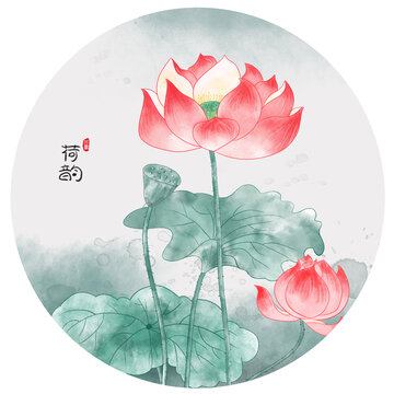 水彩荷花插畫