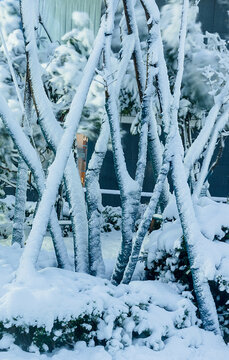 城市冬季雪景