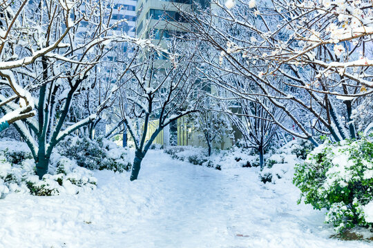 城市冬季雪景