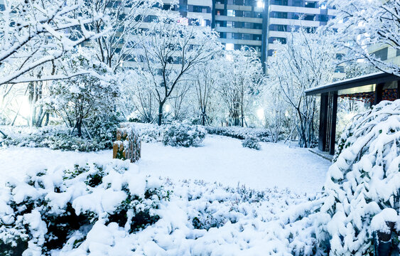 城市冬季雪景