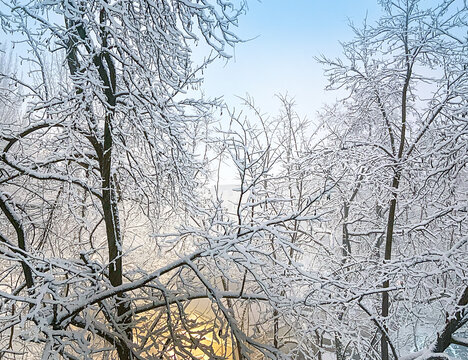 城市冬季雪景