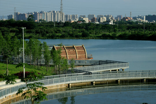 东莞企石东青湖湿地公园