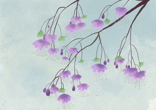 古風(fēng)手繪唐松草花枝