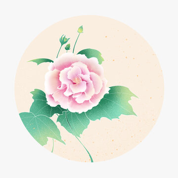 國風(fēng)芙蓉花插畫