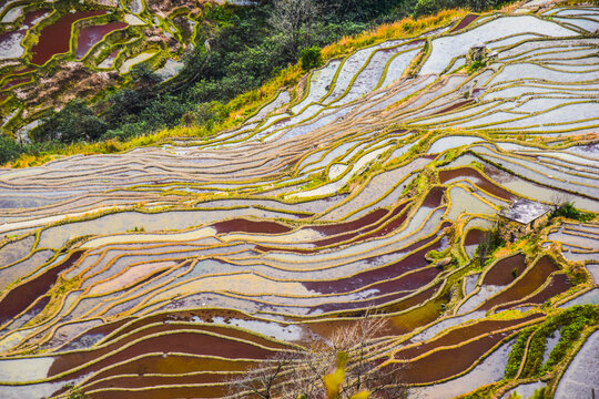 云南元阳梯田风光