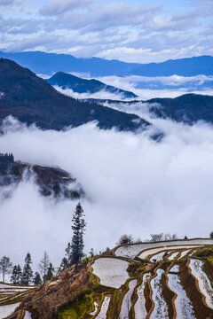 云南元阳梯田风光