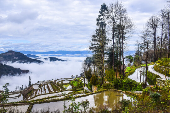 云南元阳梯田风光