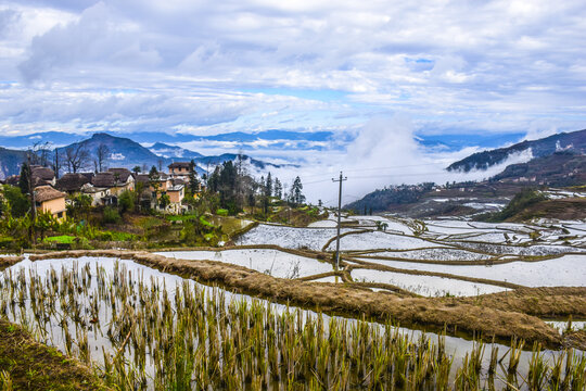 云南元阳梯田风光