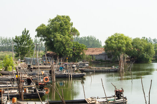 鱼塘风景