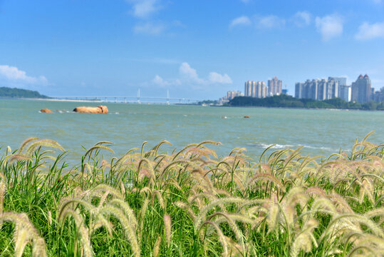 珠海野狸岛