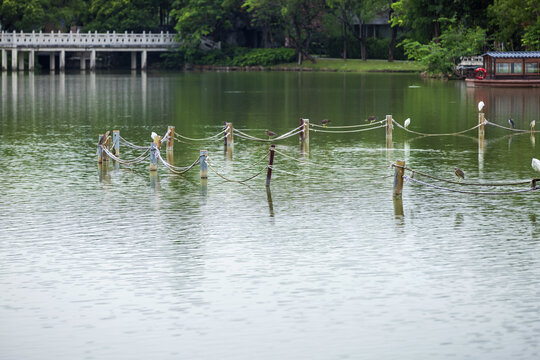 惠州西湖风景