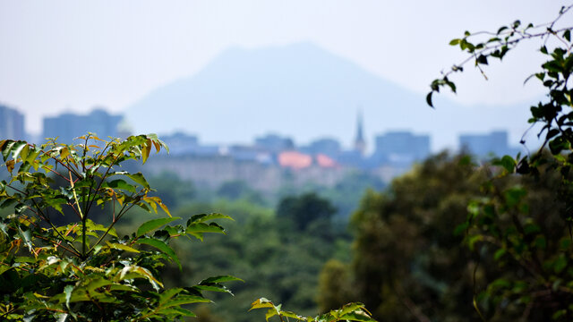 远眺莲花山