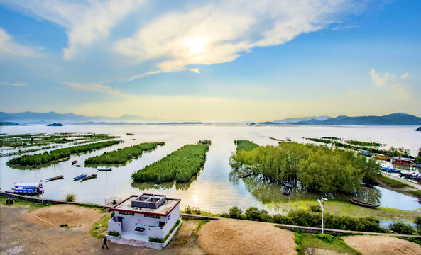 盐州岛红树林