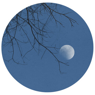 夜晚的樹與月