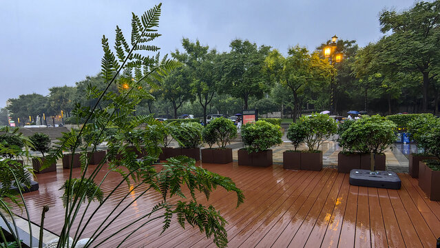 热带雨林休闲区