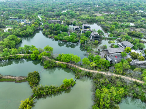 杭州西溪湿地航拍