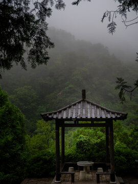 雨亭