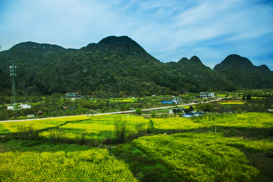 田野田园