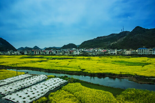 田野田园