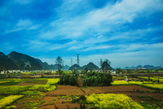 田野田园