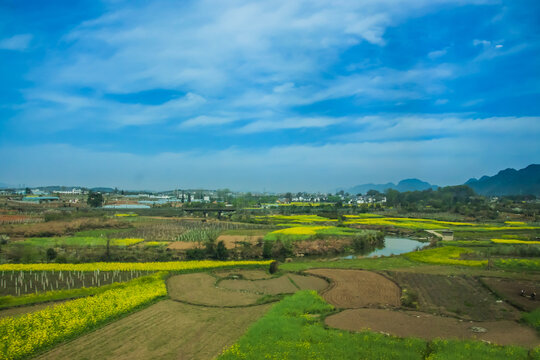 田野田园