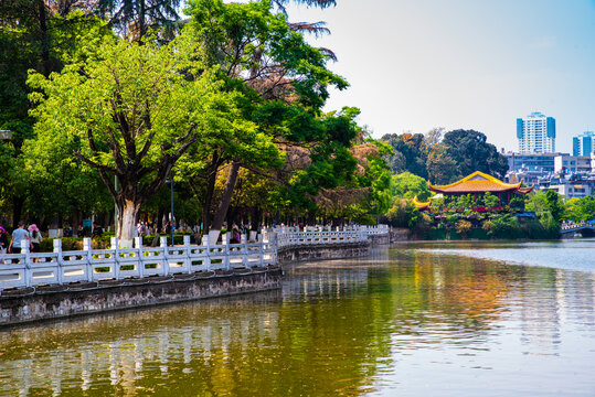 昆明翠湖景观湖