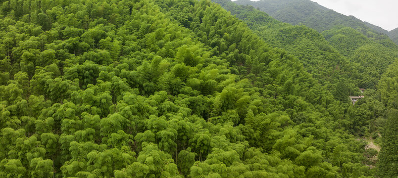 浙江省湖州安吉竹海竹山航拍