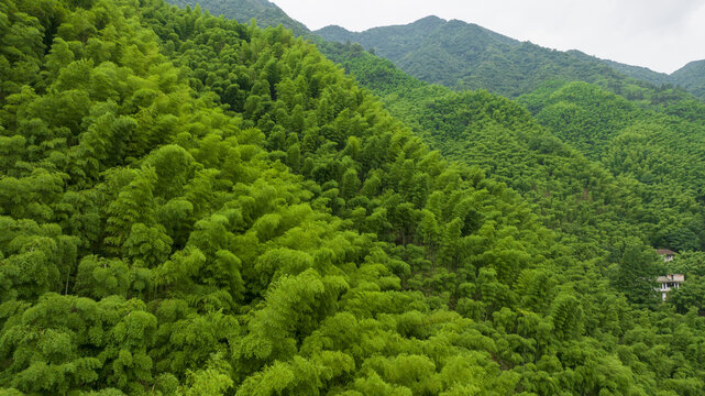 浙江省湖州安吉竹海竹山航拍