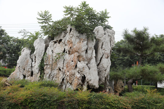 观赏假山