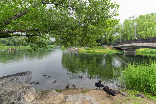 北京奥森公园